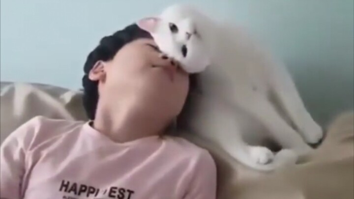 Kucing tidaklah dingin dan angkuh.