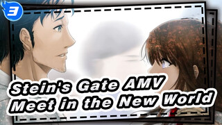 [Stein's Gate AMV] Finally, We'll Meet in the New World (part 2)_3