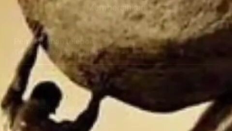 Sisyphus Vivo Y02