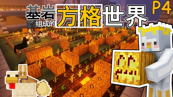 逃离这里！基岩组成的方格世界 P4【我的世界】