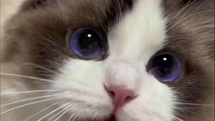 "Observing in Secret"