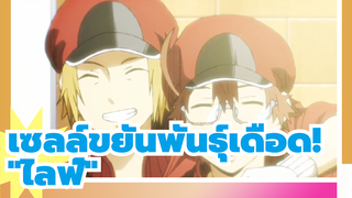 [เซลล์ขยันพันธุ์เดือด!]"ไลฟ์"