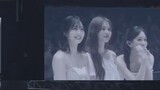 Twice message to MISAMO during their final showcase TWICE FAMILY