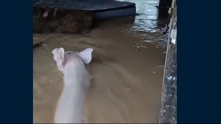 cuaca extrim membuat beberapa lokasi di Sibolga banjir