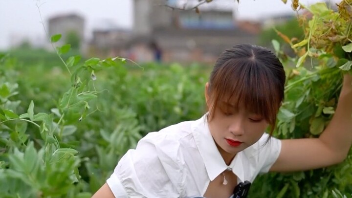 If I set up a food stall, how many points would you give my fried rice?