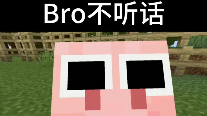 Minecraft: oh my pccc！#191