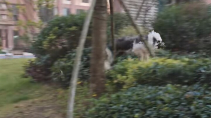 كيف يمكنني أن أعزّيك؟