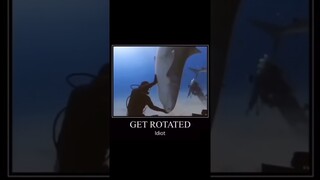 Dunk memes 14