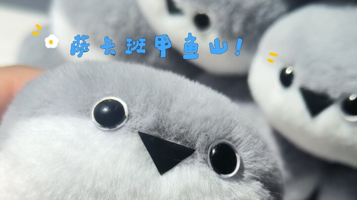 Muốn một mục bình luận toàn là ba ba Saka Ban