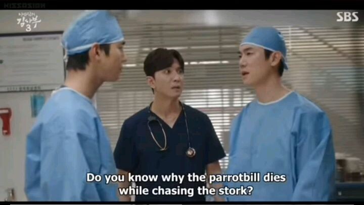 Doctor Kang Vs Dr Seo