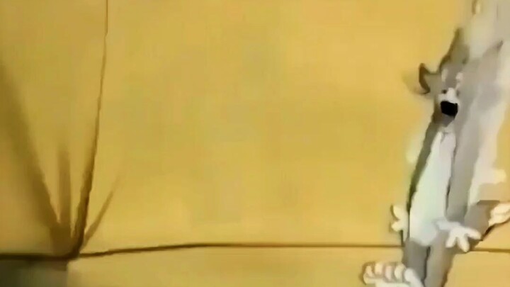 Tom and Jerry bring endless chaos, crazy chases, and hilarious moments! 😂🐱🐭 You never know