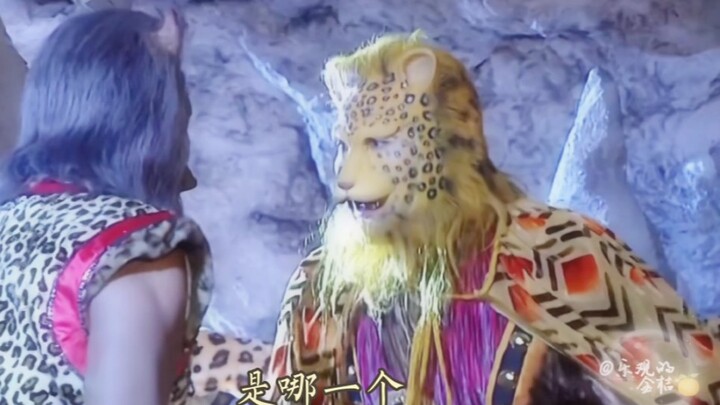 I’m dying of laughter—leopards really get the art of pointless banter!