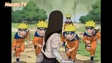 Naruto Dattebayo (Short Ep 60) - Trận thứ nhất: Naruto x Neji (Phần 2) #naruto