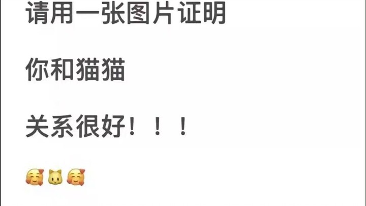 Prove your great bond with your cat using just one photo!