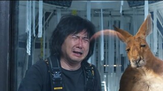 Cuối cùng, trần nhà của thế giới hài kịch đã bị một con kangaroo đập tan!