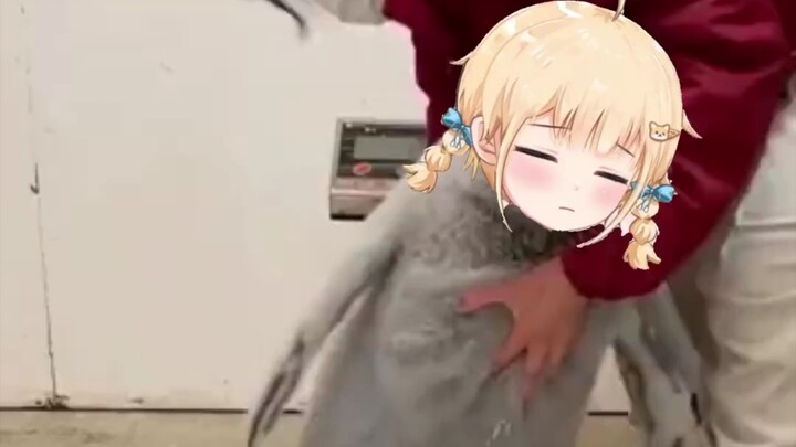 The bag's incredible move...