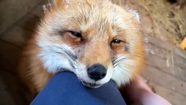 Huhu: Sorry, I'm really sleepy!