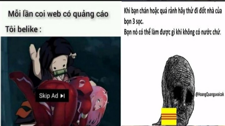 Meme Dạo#36| Mọi Người Trước Khi Xem Video Của Tui Kiểu:| NKL Official