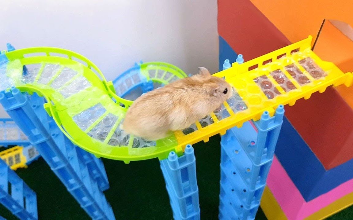 hamster maze pets at home