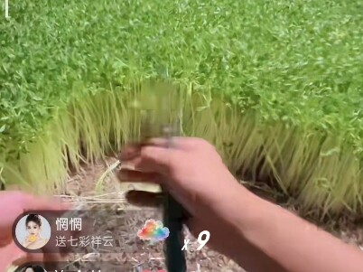 Hahaha, dulu pas sesekali scroll, masih cuma ada 10 ribu lebih penonton, sekarang baru nonton sebent