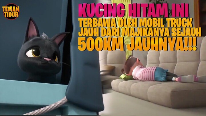 PERJUANGAN SI HITAM KEMBALI KEPADA MAJIKANYA - Alur Cerita Rudolf The Black Cat