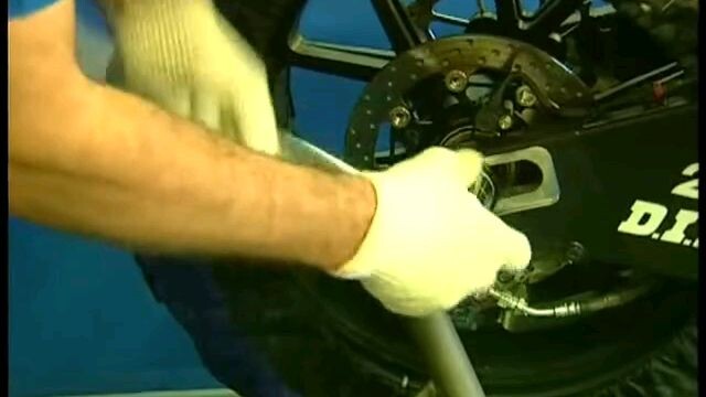 motogp precure all stras ducati team racing  michelin