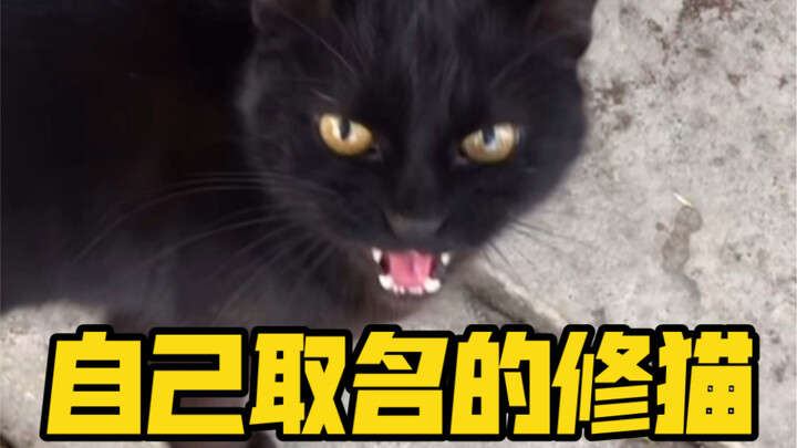 سمّى نفسه “بيبي”!