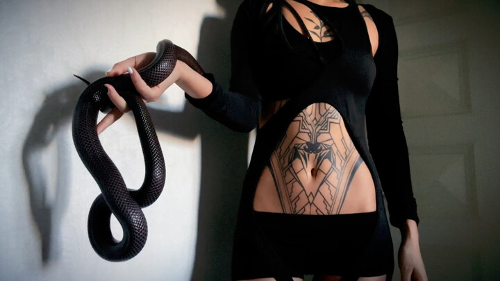 ثعبان الملك الأسود الجليدي | "ماذا أفعل، إنه بارع جدًا!"