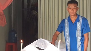 Đã Tìm Được Bé Trai 7 Tuổi mất tích và một sự thật đau Lòng Rơi Nước Mắt| TKQ & family T359