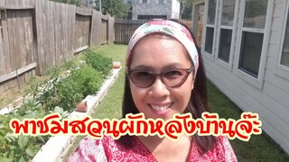 พาไปดูสวนผักหลังบ้านในอเมริกา ของ  Tukata Thai Kitchen