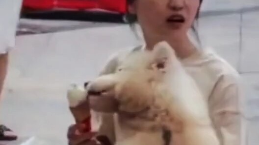 “Phòng không thắng phòng” & “Họa không đơn hành”