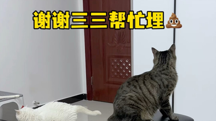 ขอบใจซานซานที่ช่วยฝังอึให้