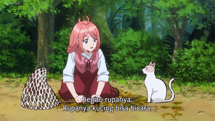 The Cat and the Dragon episode 6 Full English Sub