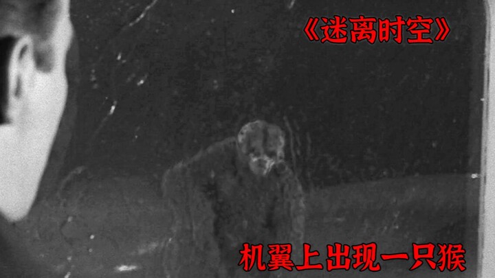 On a flight, a monkey suddenly appeared on the wing — “The Twilight Zone” #Weird #Sci-Fi