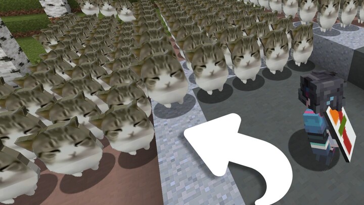 When Cheetos kittens are added to Minecraft (Player: Life has worn the Cheetos down 😁😁)