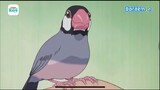 Doraemon giờ việt tập dượt 36