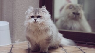 I have a new sister~