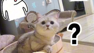 คุณยายมารับฉันเหรอ!? ตอนที่สอง