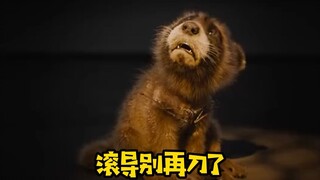 别刀了别刀了！被改造的火箭浣熊宝宝害怕到发抖！看到最后！原来还是仁慈的滚导！