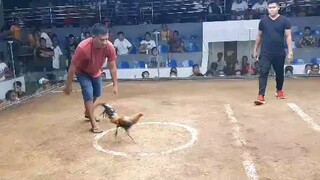 Last fight win