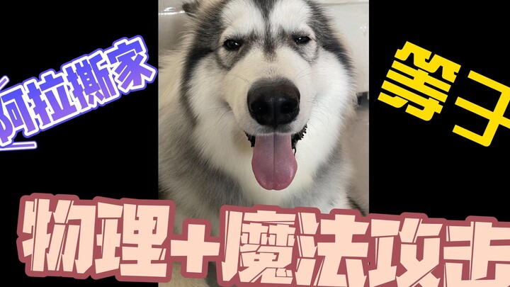 Tôi chỉ muốn nói với bạn: Lăn đi nào, bé bò!