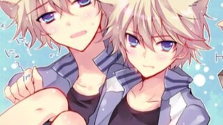 [Shota]Ai lại không thích mèo?