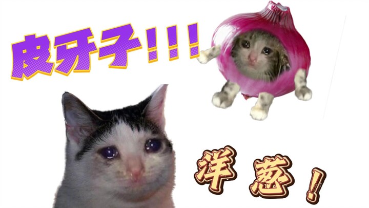 可颂猫，但是新疆皮牙子