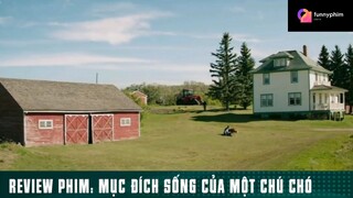 Tóm tắt phim: Mục đích sống của một chú chó phần 9 #phimhaymoingay