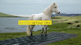 Reply to your email