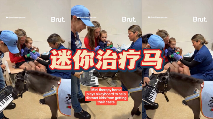 Ngakak banget 😂 Ini bukan berita hoaks!