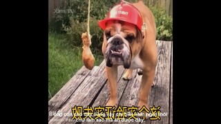 Review Thời Thế Bây Giờ Nó Loạn Hết Rồi  | Review Những Video Triệu View | Kênh Xàm TV