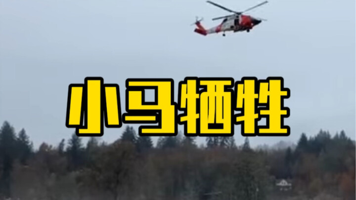 Tiểu Mã anh dũng hy sinh, may mắn là con người không sao. Mong mọi người hãy biết kính trọng thiên n