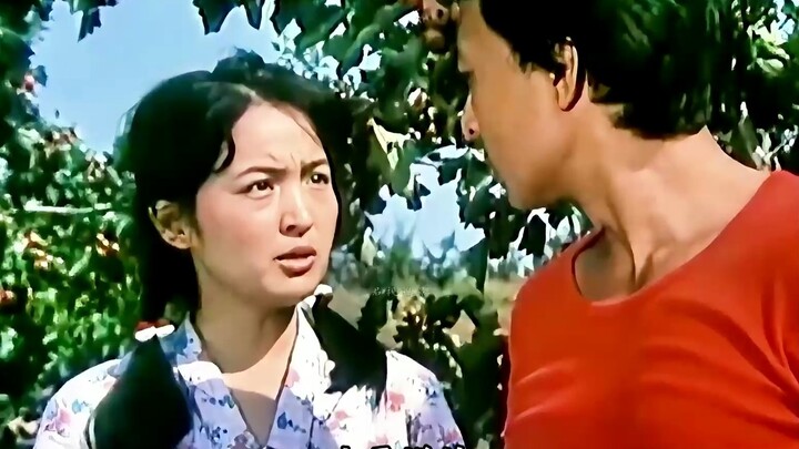 Ông lão dành dụm tiền để cưới con trai, nhưng cuối cùng niềm vui của ông lại trở nên vô ích