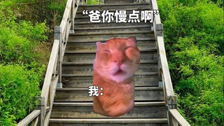 When I Travel with My Parents